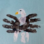 aquila