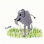 elefante